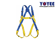 Fall Arrest / Rescue Harness